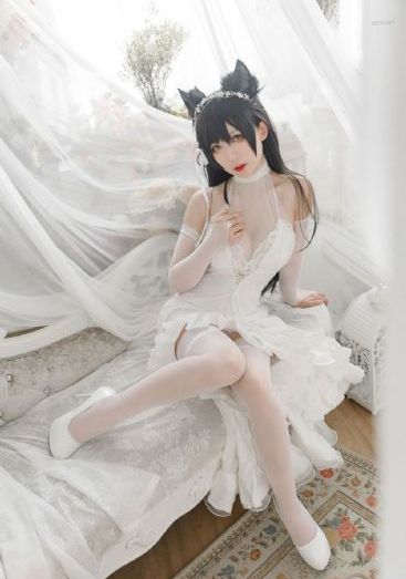 忠贞免费观看