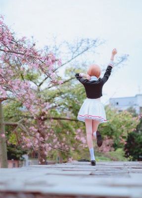 浪漫樱花动漫观看免费视频